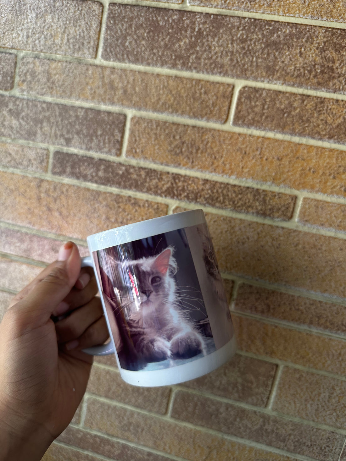 Customized Mug