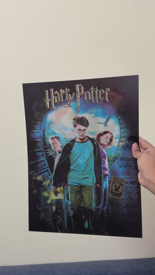 Harry Potter poster (1 pc)